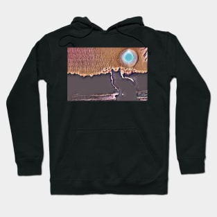 Cat Watching Sunset Cute Hoodie